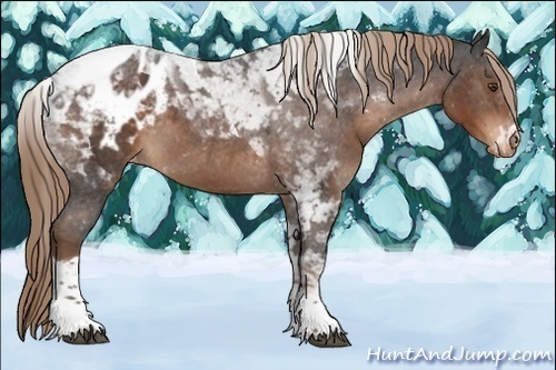 Horse Color:Liver Chestnut Tobiano Blanket Rabicano