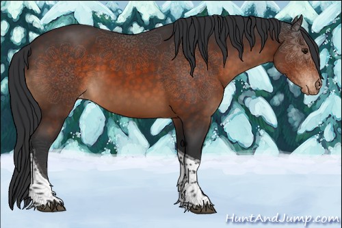 Horse Color:Brown Tobiano Varnish 