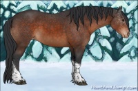 Horse Color:Brown Tobiano Varnish 