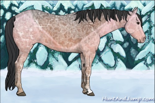 Horse Color:Brown Ice 