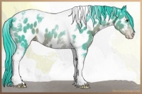 Horse Color:Watercolor Liver Chestnut Tobiano Near Leopard