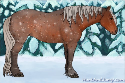 Horse Color:Silver Brown 