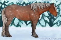 Horse Color:Silver Brown 