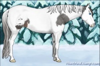 Horse Color:Liver Chestnut Sabino Splash Tobiano Snowcap 