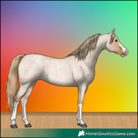Horse Color:Red Dun Roan Splash Frame Rabicano