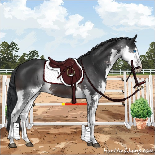 Horse Color:Brown Splash 