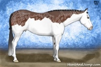 Horse Color:Bay Ice Splash 