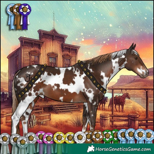Horse Color:White Spotted Liver Chestnut 