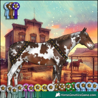 Horse Color:White Spotted Liver Chestnut