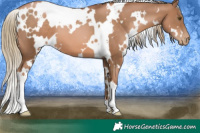 Horse Color:White Spotted Liver Chestnut Pearl 