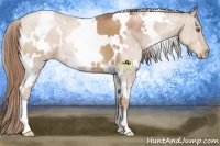 Horse Color:White Spotted Liver Chestnut Pearl 