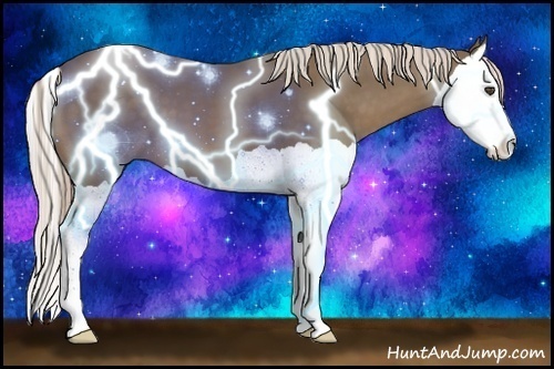Horse Color:Chocolate Palomino Splash