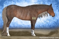 Horse Color:Liver Chestnut Rabicano 
