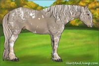 Horse Color:White Spotted Chocolate Palomino Ice Sabino