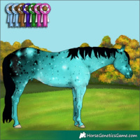 Horse Color:ERROR: UNKNOWN ANOMALY