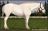 Horse Color:Silver Amber Cream Champagne Pearl 