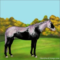Horse Color:Watercolor White Spotted Silver Brown Ice Dun