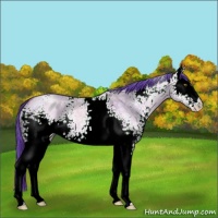 Horse Color:Watercolor White Spotted Liver Red Dun Ice Pearl