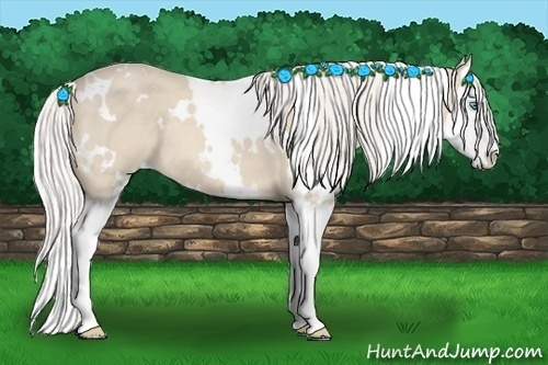 Horse Color:White Spotted Cremello Splash