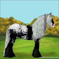 Horse Color:Watercolor White Spotted Silver Brown Ice Pearl Dun 