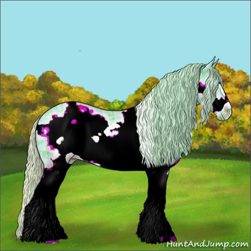 Horse Color:Watercolor White Spotted Silver Black Ice Frame 
