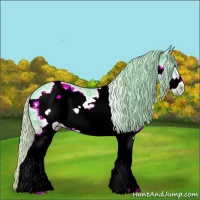 Horse Color:Watercolor White Spotted Silver Black Ice Frame