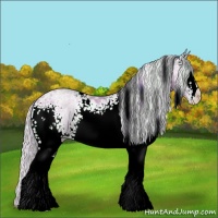 Horse Color:Watercolor White Spotted Silver Amber Champagne Ice Rabicano 