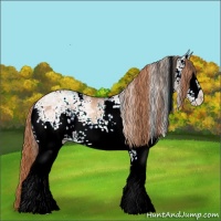 Horse Color:White Spotted Gold Champagne Ice Rabicano