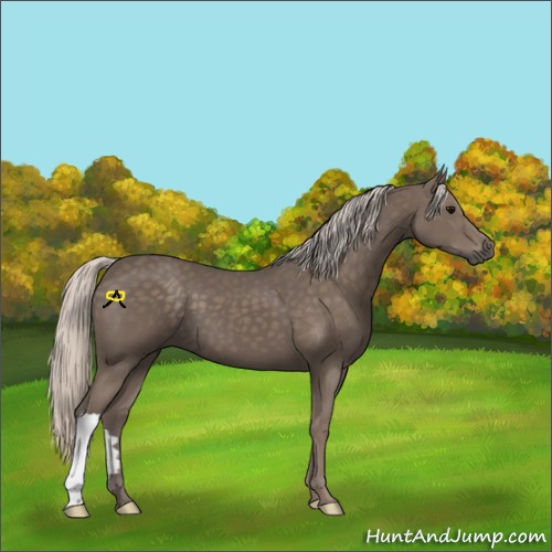 Horse Color:Silver Black 