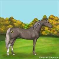 Horse Color:Silver Black 