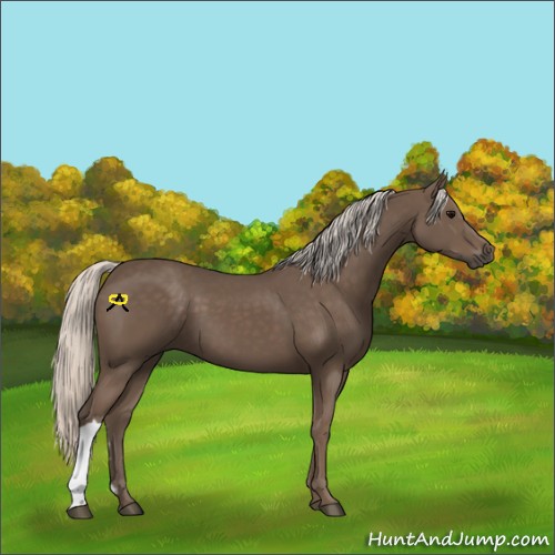 Horse Color:Silver Black