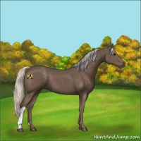 Horse Color:Silver Black 