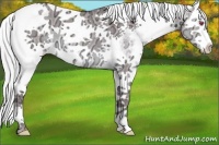 Horse Color:White Spotted Chocolate Silver Grullo Chinchilla Ice Splash Tobiano 