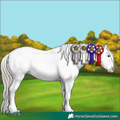 Horse Color:White Spotted Liver Chestnut Mushroom Sabino Snowflake Varnish 