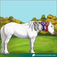 Horse Color:White Spotted Liver Chestnut Mushroom Sabino Appaloosa 