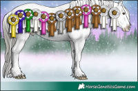 Horse Color:White Spotted Liver Chestnut Mushroom Appaloosa