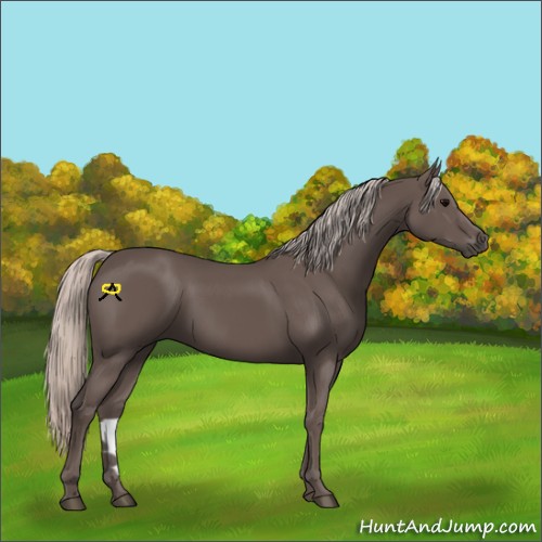 Horse Color:Silver Black 