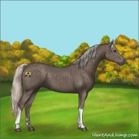 Horse Color:Silver Black 
