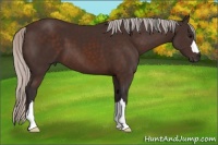 Horse Color:Silver Brown 