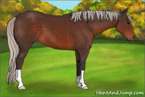 Horse Color:Silver Brown