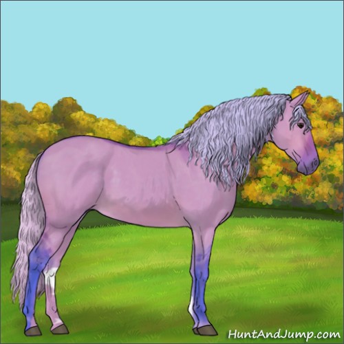 Horse Color:Watercolor Silver Brown Dun 