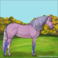 Horse Color:Watercolor Silver Brown Dun 