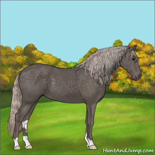 Horse Color:Silver Black 