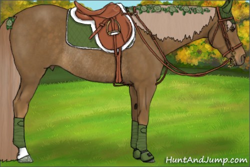 Horse Color:Chocolate Palomino Rabicano