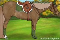 Horse Color:Chocolate Palomino Rabicano