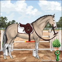 Horse Color:Brown Dun Sabino Splash Rabicano 