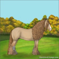 Horse Color:Red Dun Splash 