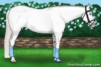 Horse Color:Palomino Sabino Splash Varnish 
