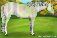 Horse Color:Nacre Watercolor Palomino Roan Onyx Tobiano