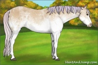 Horse Color:Watercolor White Spotted Silver Bay Ice Tobiano Rabicano 
